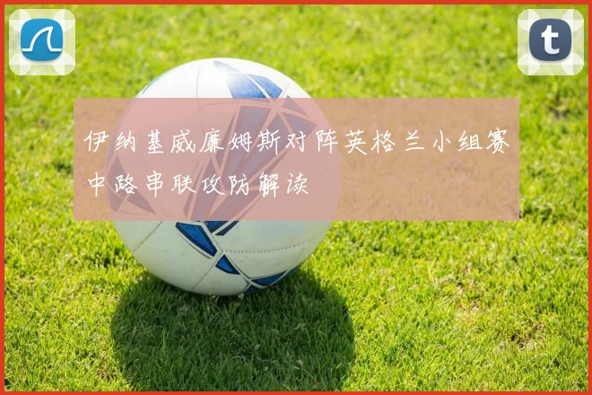 伊纳基威廉姆斯对阵英格兰小组赛中路串联攻防解读