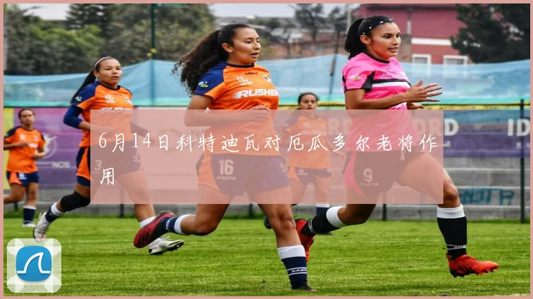 6月14日科特迪瓦对厄瓜多尔老将作用