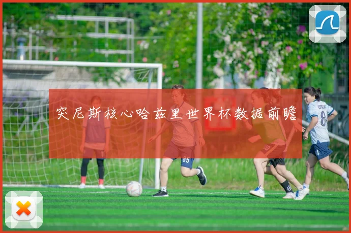 突尼斯核心哈兹里世界杯数据前瞻