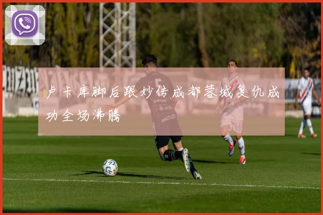 卢卡库脚后跟妙传成都蓉城复仇成功全场沸腾