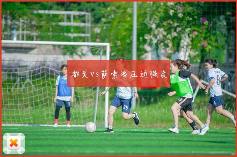 都灵vs萨索洛压迫强度